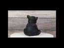 Rustic Western Forest Wonders Sitting Baby Black Bear Cub Whimsical Figurine