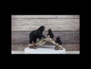 Rustic Forest Black Bear Mother and 2 Cubs Climbing On Tree Log Bridge Figurine