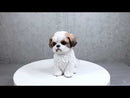 Adorable Lifelike Shih Tzu Puppy Dog Sitting Figurine with Glass Eyes Home Decor