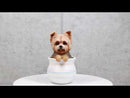 Yorkie Yorkshire Terrier Teacup Puppy Dog Figurine With Glass Eyes Pup In Pot