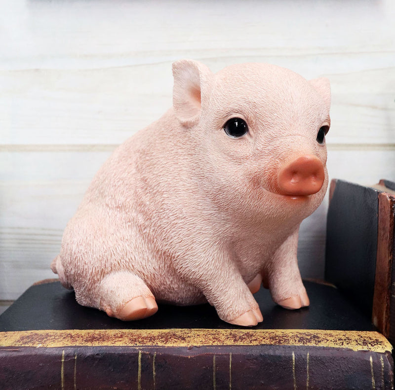 Ebros Rustic Adorable Animal Farm Babe Fat Nude Piglet Pig Sitting Figurine 6"L