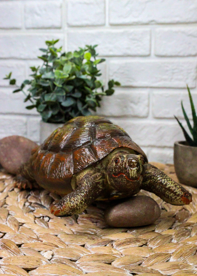 Auspicious Fortune Charm Lifelike Green Brown Turtle Tortoise Small Figurine