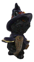 Halloween Black Cat with Witch Hat and Cape Riding Magical Broomstick Figurine