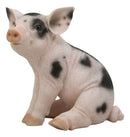 Large Adorable Realistic Animal Farm Babe Spotted Pig Piglet Statue 9"H Decor