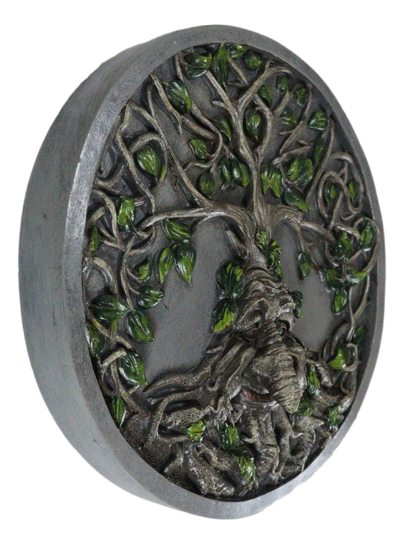 Celtic Tree Man Greenman Tree Of Life Round Wall Decor Plaque Medallion Figurine