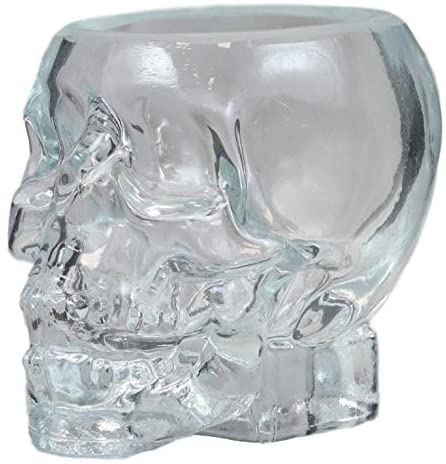 Ebros Set of 2 Translucent Acrylic Skeleton Skull Face Liquor Shot Glass Shooters