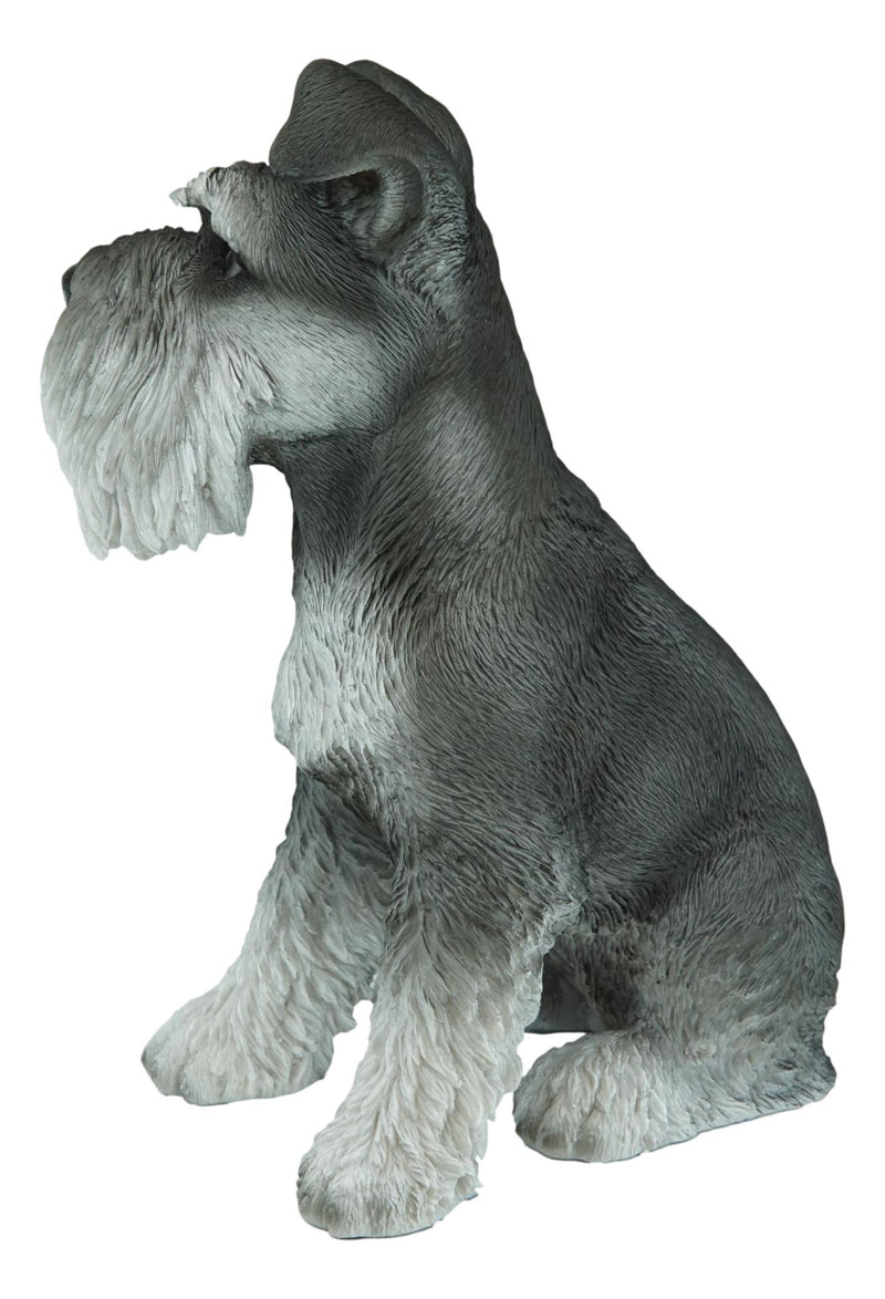 Ebros Realistic Miniature Schnauzer Puppy Statue 6.5 Tall Animal Dog  Collectible Lifelike Schnauzer Figurine Decor