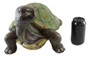 Ebros Nautical Marine Realistic Green Tortoise With Head Raised Statue 16.5"L