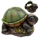 Ebros Gift Adorable Turtle Secret Stash Shell Decorative Jewelry Trinket Box Figurine 8.5" L