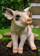 Large Adorable Realistic Animal Farm Babe Spotted Pig Piglet Statue 9"H Decor