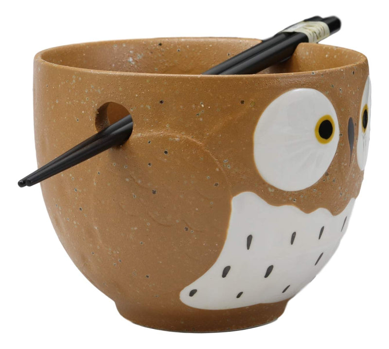 Whimsical Ceramic Brown Owl Ramen Udong Noodles Soup Bowl With Chopsticks Set