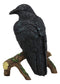 Ebros Gift Gothic Raven Crow Perching On Tree Branch Scavenger Bird Figurine 5.75" High