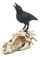 Ghost Scavenger Bird Raven Crow Resting On Dragon Skull Fossil Figurine