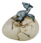 Cold Bifrost Dragon Hatchling Breaking Out Of Egg Shell Figurine Myth & Legends