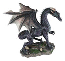 Black Shadow Night Dragon Figurine Dream Weaver Legendary Creature Sculpture