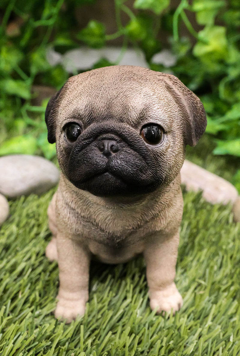 Ebros Lifelike Sitting Pug Dog Statue 6" Tall Pet Pal Figurine with Glass Eyes