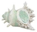 Large Ocean Sea Shell Conch Statue With Mosaic Crushed Glass 6.5"L Seashells Art