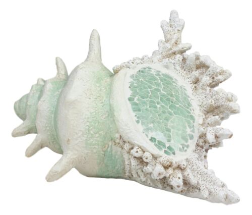 Large Ocean Sea Shell Conch Statue With Mosaic Crushed Glass 6.5"L Seashells Art