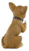 Ebros Feisty Taco Rude Chihuahua Puppy Dog Flipping The Bird Figurine Guest Greeter