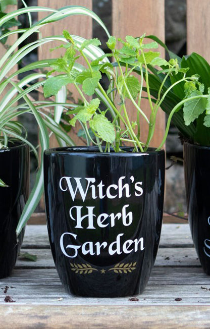 Wicca Witchcraft Ceramic Witch's Herb Garden Flowers Plant Planter Pot Holder