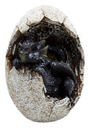 Fossil Twilight Onyx Dragon Hatchling Breaking Out Of Egg Shell Figurine