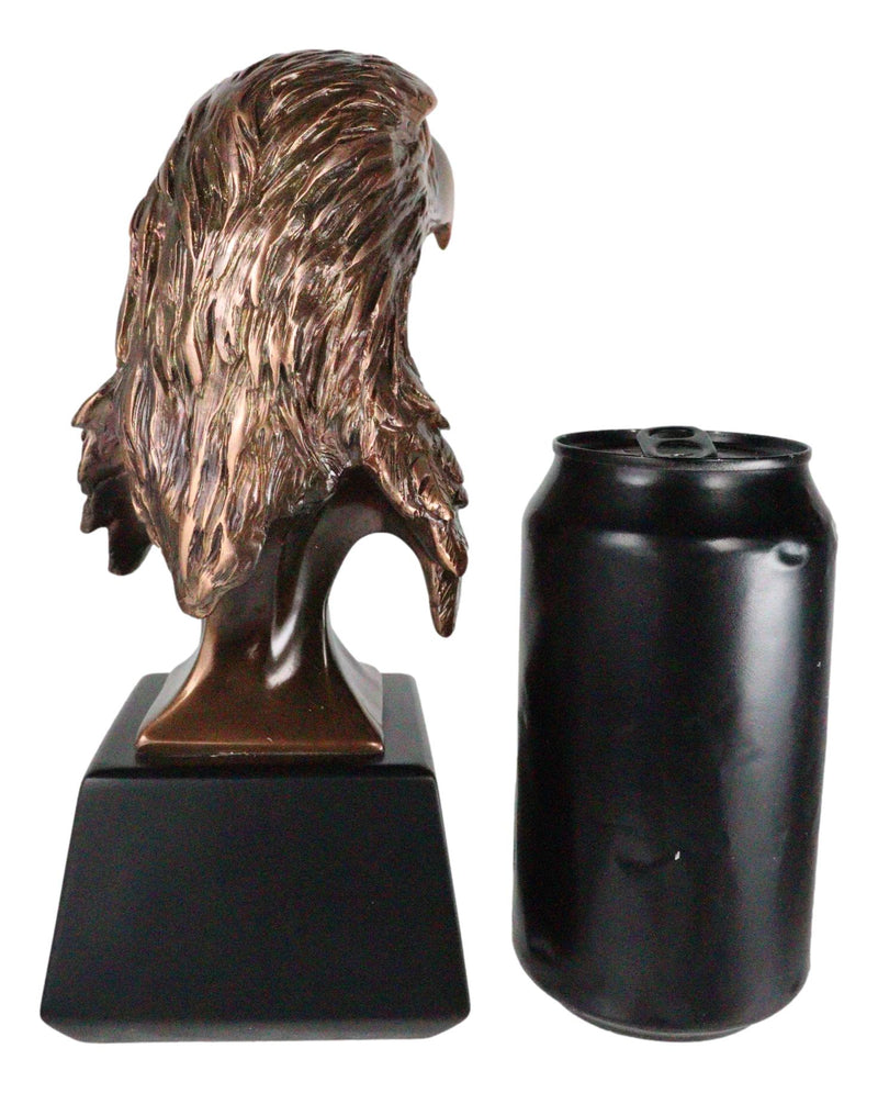 8.25"H Majestic Royal Bald Eagle Stoic Head Bust Taxidermy Figurine With Base