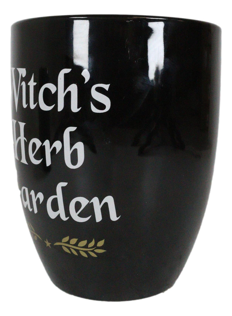 Wicca Witchcraft Ceramic Witch's Herb Garden Flowers Plant Planter Pot Holder