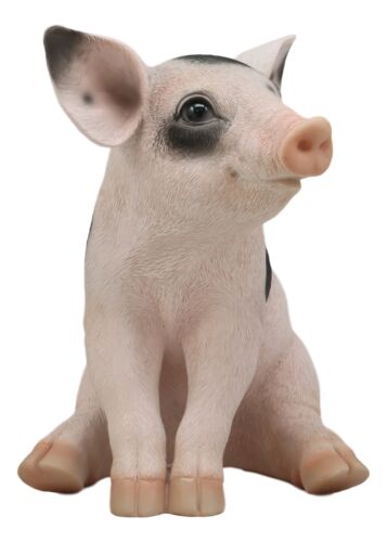 Large Adorable Realistic Animal Farm Babe Spotted Pig Piglet Statue 9"H Decor