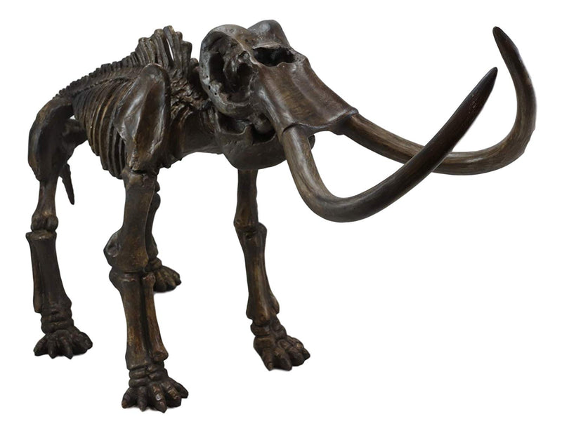 Ebros Prehistoric Elephant Jurassic Era Woolly Mammoth Fossil Skeleton 30"Long