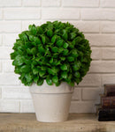 Home Garden 12"H Green Artificial Faux Foliage Boxwood Topiary Ball In Vase Pot