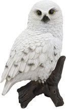 Ebros Snowy Tundra White Owl Perching On Tree Branch Statue 6.5"Tall Figurine