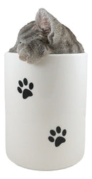 Ceramic Gray Tabby Cat Hiding and Peeking Dry Storage Jar With Paw Prints Decor