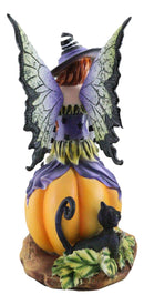 Amy Brown Halloween Bewitched Fairy With Black Cat On Giant Pumpkin Figurine