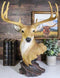 Ebros Large Decorative 8 Point Big Buck Bust Figurine Game Deer Hunters Rustic Cabin