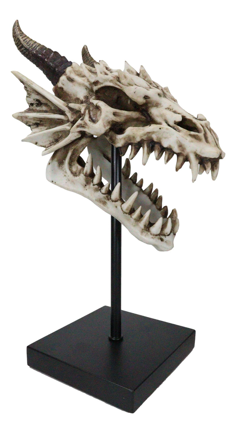 Ferocious Terra Bone Dragon Head Skull On Museum Pole Stand Display Figurine 12"