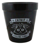 Catnip Feline Fine Pentagram Black Cat Wicca Witch Flower Herbs Planter Pot