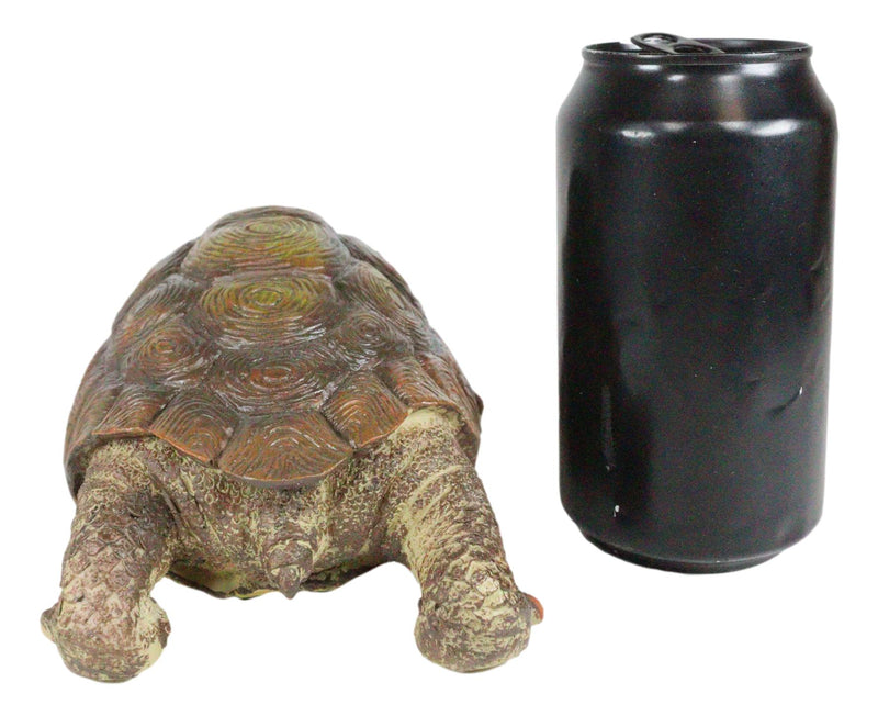 Auspicious Fortune Charm Lifelike Green Brown Turtle Tortoise Small Figurine