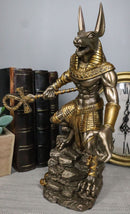 Egyptian Jackal God Anubis With Ankh Spear On Skull Graveyard Bronzed Figurine