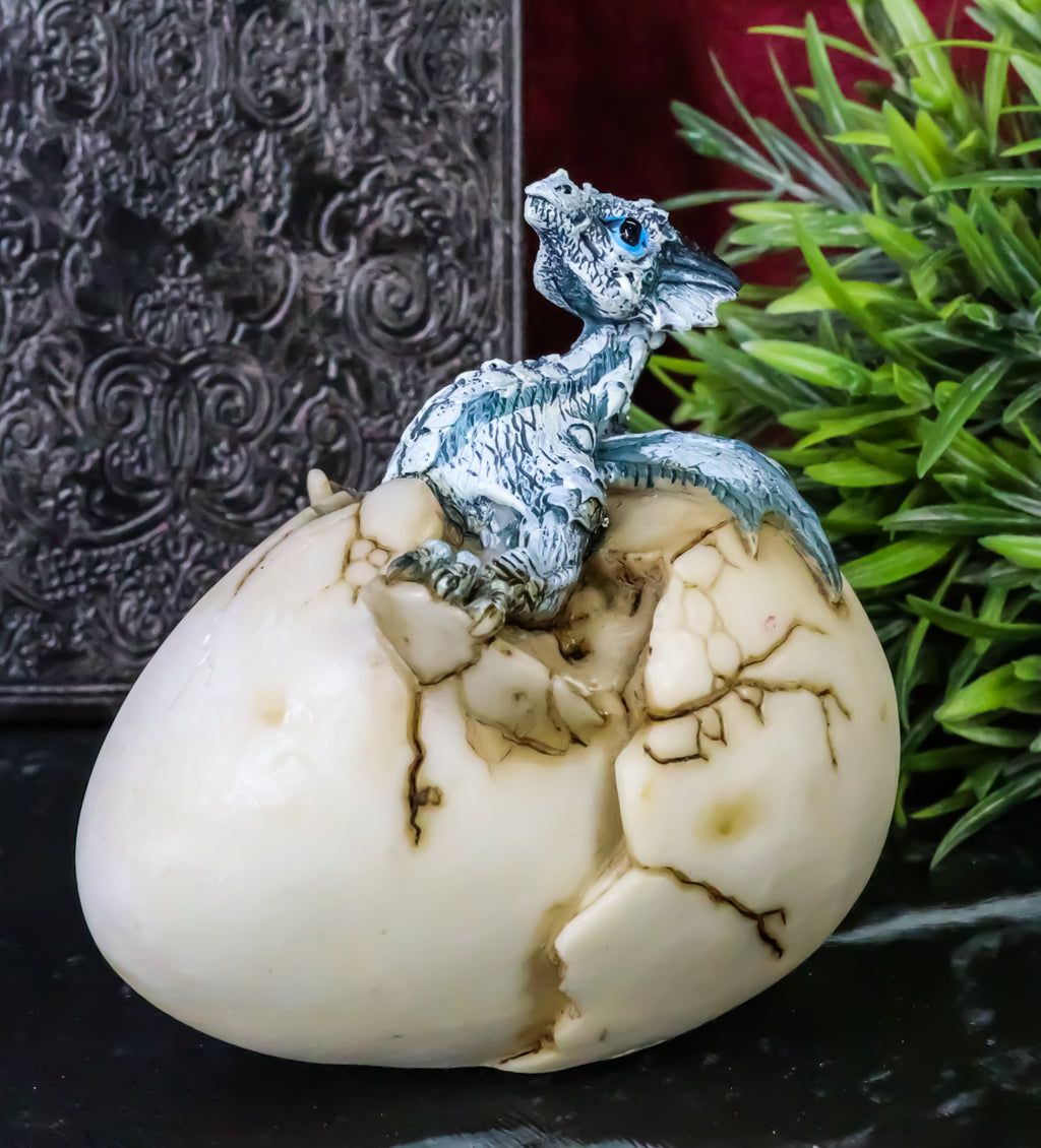 Cold Bifrost Dragon Hatchling Breaking Out Of Egg Shell Figurine Myth ...