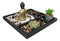 Meditating Buddha Zen Garden Kit With Lotus Candle Holders Sand Rake Succulents