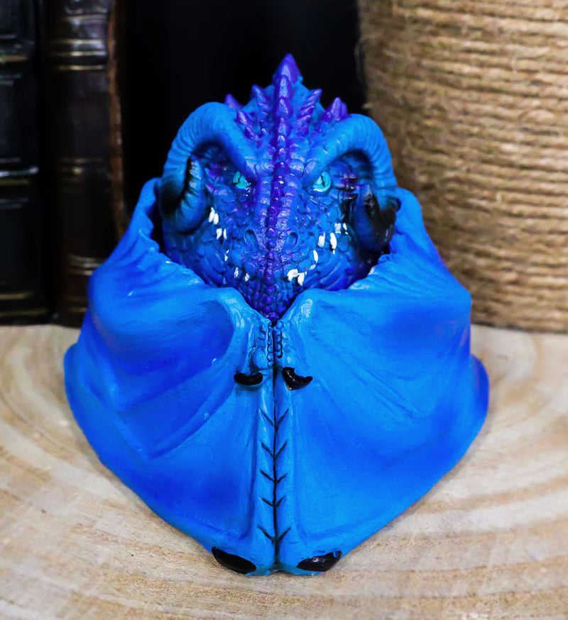 Blue Hibernating Gehena Dragon Small Stash Decorative Jewelry Box Figurine