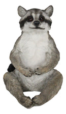 Whimsical Sitting Cheeky Raccoon With Big Belly Wild Animal Figurine 11"H