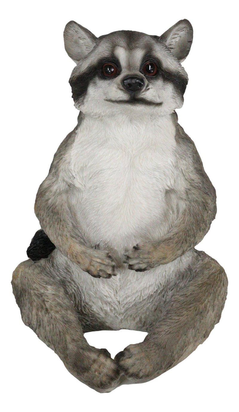 Whimsical Sitting Cheeky Raccoon With Big Belly Wild Animal Figurine 11"H