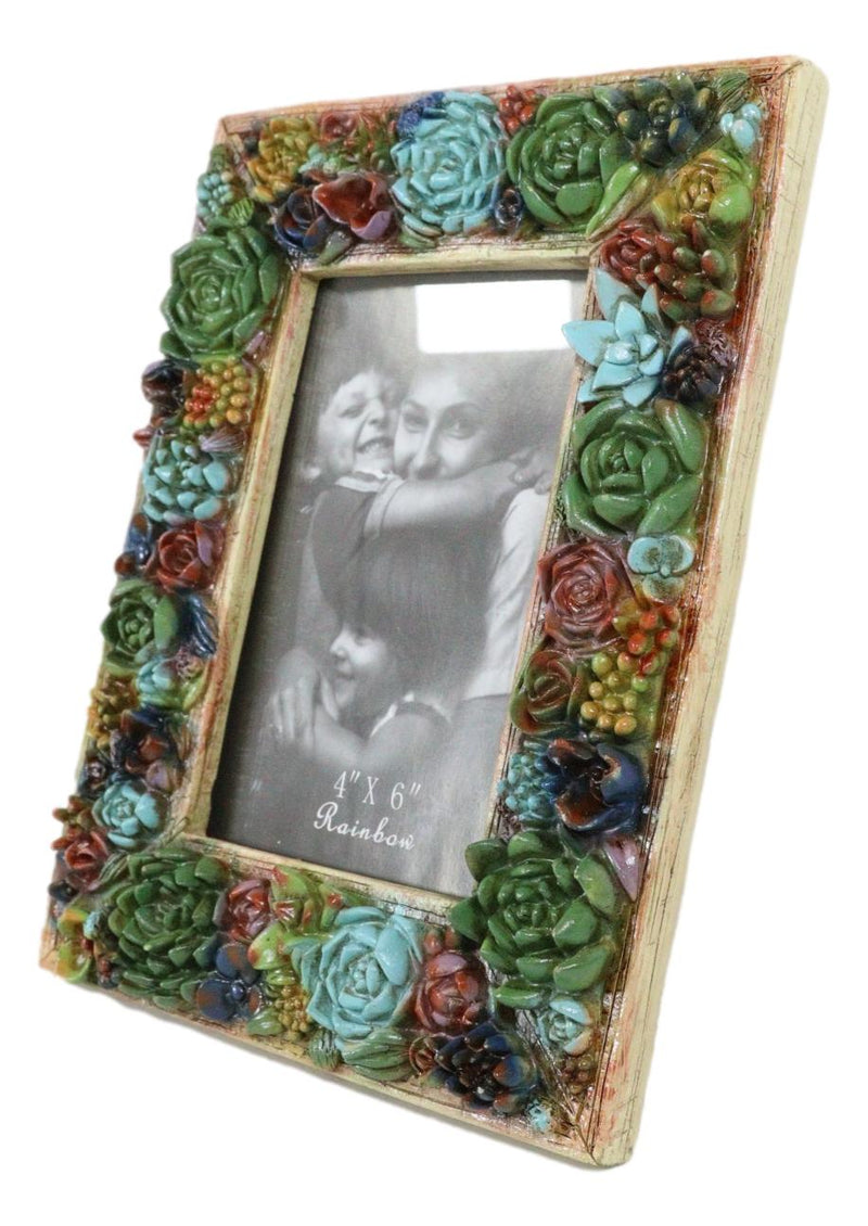 Southwestern 3D Colorful Cactus Succulent Flowers Western Picture Frame 4"X6"