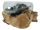 Balinese Handicraft Natural Driftwood With Large Glass Fruit Succulents Bowl