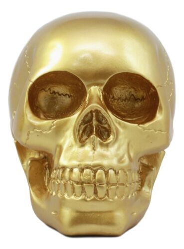 Pirate's Loot Gold Skull Statue Day Of The Dead Skull Head Gothic Resin Figurine