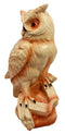 Ebros Gift Rustic Rainforest Great Horned Owl Decorative Faux Wood Figurine 8.25" Tall