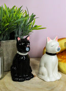 Ebros Gift Ceramic Black And White Kitty Cats Couple Salt And Pepper Shakers Spicy Love Magnetic Kissing Feline Kittens Figurine Set 3.75"Tall