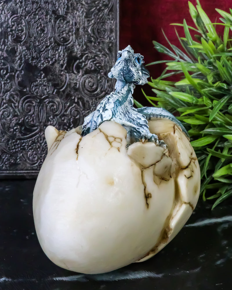 Cold Bifrost Dragon Hatchling Breaking Out Of Egg Shell Figurine Myth & Legends