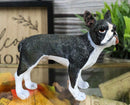 Realistic Miniature Boston Terrier Puppy Dog With Faint Red Face Figurine